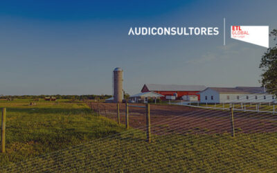 IS – Régimen especial de restructuraciones: Concepto de rama de actividad